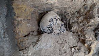 ЧЕРЕП РЕБЁНКА В ЗАТОПЛЕННОМ ПОДВАЛЕ. ЧТО ТАМ ПРОИСХОДИТ?!