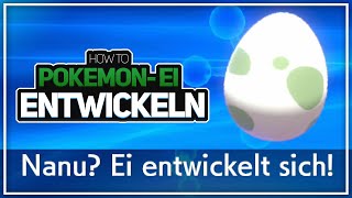 POKEMON EI ENTWICKELN & TM/TPs BEIBRINGEN ?️ Pokémon Schwert & Schild