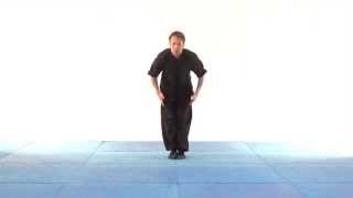 Learn Kung Fu - fast Choy Li Fut Kung Fu forms demonstration. Choy Lee Fut.
