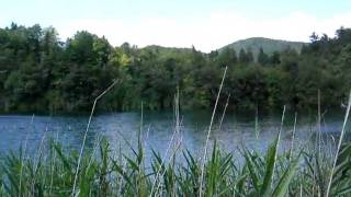 DSCN0623
