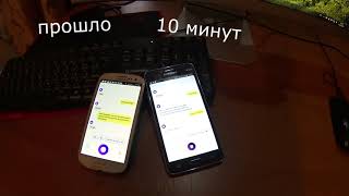 ДВЕ АЛИСЫ ПОРУГАЛИСЬ