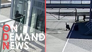 GRAPHIC: CCTV Shows Russian Soldiers 'MURDERING' Civilians
