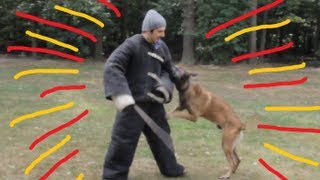 Politiehonden Vallen Aan! - FUN VISIT