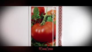 Семена Томат Ляна - Помидорчик