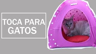TOCA DE GATOS | KAREN SOUSA