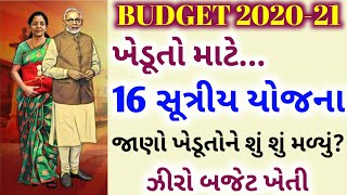 ખેડૂતલક્ષી બજેટ 2020-21 | ખેડૂતો પર મોદી સરકાર મહેરબાન | Budget 2020-21 | નવી યોજનાઓ અને સહાયો જાહેર