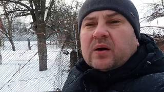 Cpoки обрезки сада. Погода вносит свои коррективы.