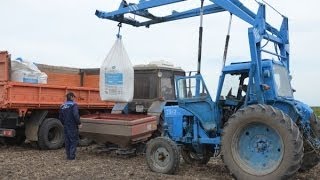Кубанский рис. Внесение удобрений