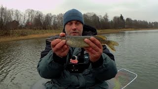 Рыбалка Осенью 2019.Ловля хищника на спиннинг