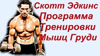 Скотт Эдкинс - программа тренировок день 2-й Тренировка груди / Scott adkins - training program