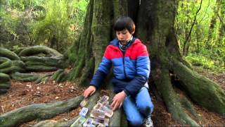 Hot Shots- Johnny Andrews