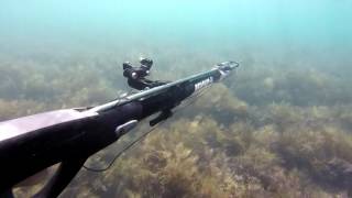 Подводная охота в черном море!