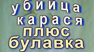 Снасть "Убийца карася" плюс булавка