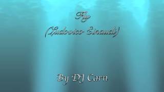 Musique Du Film Intouchables "Fly" Ludovico Einaudi (By DJ Carn)