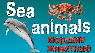 Английский для начинающих. Морские обитатели на английском языке.