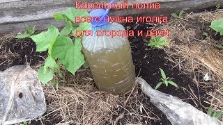 Капельный полив гениально и просто. Всего нужна бутылка и иголка. капельный полив из пластиковых