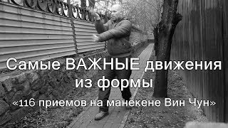 Самые важные движения из формы «116 приемов на манекене Вин Чун»