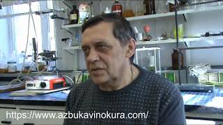 инвертировать ли сахар перед сбраживанием?|сахарная брага|самогоноварение для начинающих