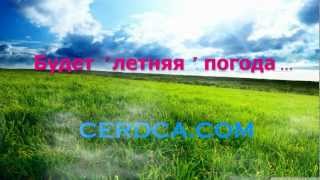 Поздравляем с Днём Рождения, июльский малыш!