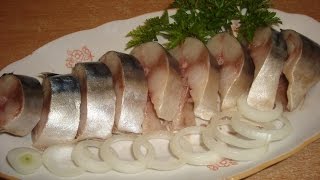 Скумбрия малосольная. Простой и вкусный рецепт соленой рыбы  в домашних условиях