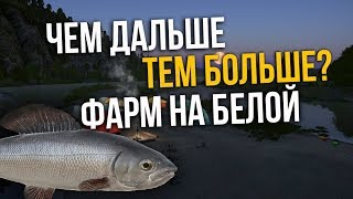 РУССКАЯ РЫБАЛКА 4. Фарм серебра на реке Белая. Хариус и Форель ручьевая