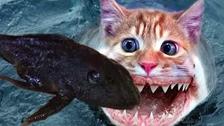 Рыбы-мутанты появились в реке Дон. Fish-mutant