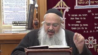 ווארטים מפרשת השבוע - פרשת וארא תש"פ - הרב שלמה לונשטיין HD