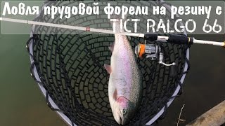 Ловля прудовой форели на резину с Tict Ralgo 66