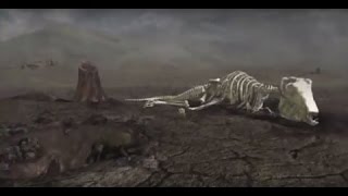 EVOLUTION - EXTINCTION - NOVA DOCUMENTARY - History Discovery Life (full length documentary)
