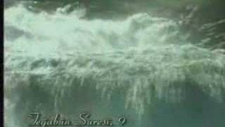 KURAN MEALİ1 11/11 www.kuranbilgisi.com