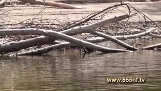 Ловля сазана с лодки.
