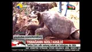 XƏBƏRƏ DİQQƏT! ))))) XƏZƏR TV -DƏRDİ VAR .....