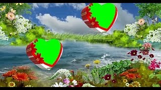 Green screen background flower animation effects wedding video (36) Shaadi video frame tech vfx