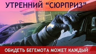 Экстренный выпуск / Собираемся на Кубу / Крушение планов / Бегемоту разбили стекло