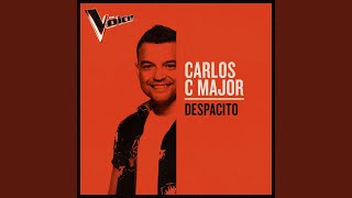 Despacito (The Voice Australia 2019 Performance / Live)