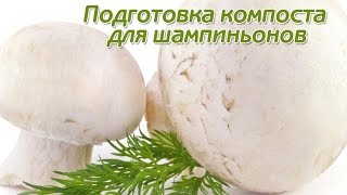 Подготовка компоста для выращивания шампиньонов