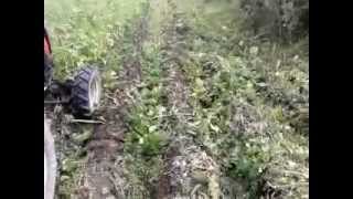 Самодельный КИР для скашивания картофельной ботвы / Trimmer mowing potato tops