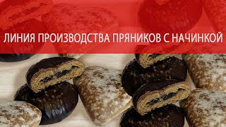 Линия производства печенья, заварных пряников с начинкой