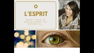 L'esprit : développer ses facultés, fonctions et potentiel