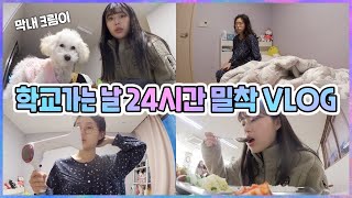 (ENG/JP/PT/Espñ/THAI SUB) 여고생의 학교가는 날 아침부터 밤까지 24시간 밀착 VLOG ⏰ 고3의 수능 D-7 | 학교가기 전 아침 일상 | WAYCHANNEL