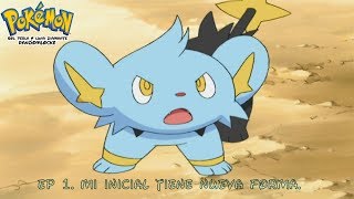 Pokemon sol perla y luna diamante RANDOMLOCKE. EP 1. Mi inicial tiene nueva forma.