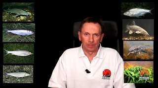Нерестовый запрет Астраханская область