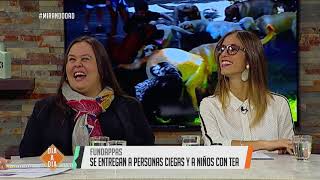Fundappas: La importancia de los perros guías en la vida de personas ciegas y niños con TEA