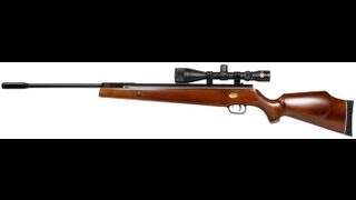Review, Beeman Mach 12.5  .22 Cal Pellet Rifle (Big Power)
