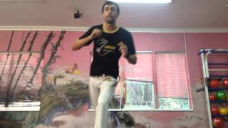 Связки из 2 круговых ударов в капоэйре