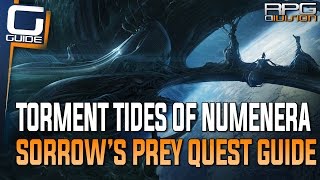 Torment Guide - Sorrow's Prey Quest Walkthrough