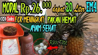 Teknik Memperbanyak Em4 // Cara Jitu Mengoptimalkan Penyerapan Nutrisi Pakan Ayam