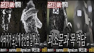 [쌈무이 이색공포][24] : 아버지가 보신게 장산범 일까요?&괴소문과 목격담  [공포라디오0.4MHz 쌈무이]