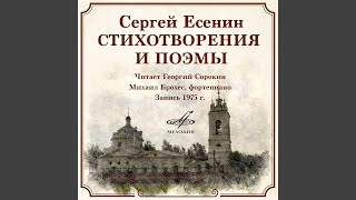 Сукин сын