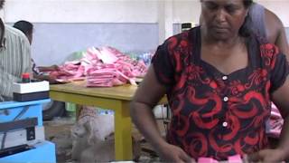 Sri Lanka 2016: plastic bags are made here/hier worden plastic zakjes gemaakt